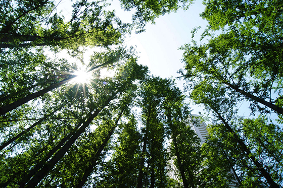 山東：“氣質(zhì)”持續(xù)惡化，追責(zé)政府負(fù)責(zé)人